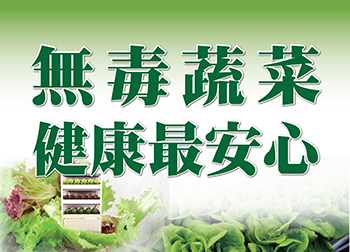 【安穩呷無毒蔬菜】水耕蔬菜綜合箱12包 / 隨機出貨|養生蔬菜 無毒蔬菜 自產自銷 健康飲食 免洗即食．好go利