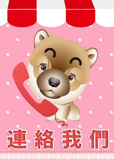 聯絡我們